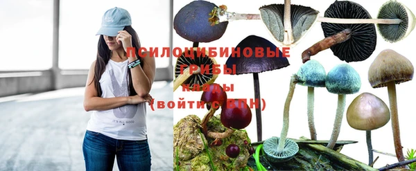 ECSTASY Балахна