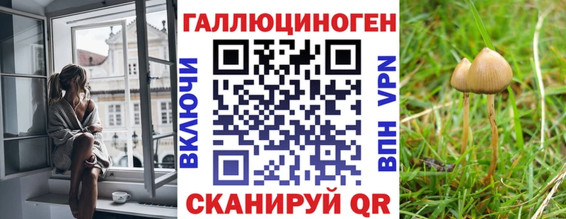 ОМГ ОМГ ССЫЛКА  дарнет шоп  Карабулак  Псилоцибиновые грибы мухоморы 